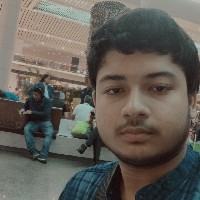 Niladri Pal-Freelancer in arambagh,India