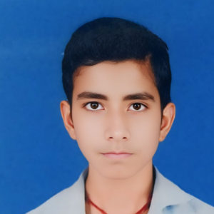 Alok Kumar-Freelancer in Hilsa,India