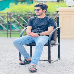 Mirza Waleed-Freelancer in Islamabad,Pakistan