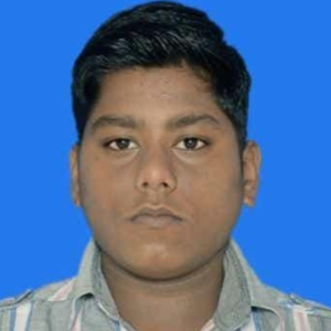 Shudhanshu Ranjan-Freelancer in Chapra,India