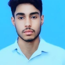 Ashwin Chauhan-Freelancer in langha,India