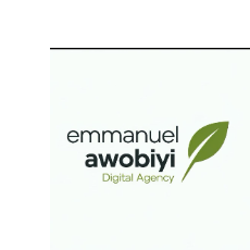 Emmanuel Awobiyi-Freelancer in Iwo,Nigeria