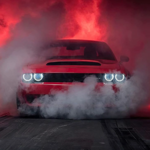 Fidan-Freelancer in Ajman,UAE