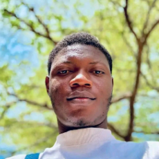 Caleb Ugbede Idakwo-Freelancer in Abuja,Nigeria