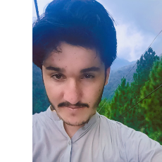 Sana Ullah-Freelancer in Pakistan,Pakistan