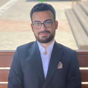 Ahmad M Almanzalawy-Freelancer in Al Farwaniyah,Kuwait