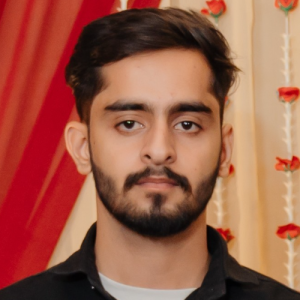 Hardik Kumar-Freelancer in Ludhiana,India