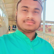 Ahsan Ansari-Freelancer in Kanpur,India