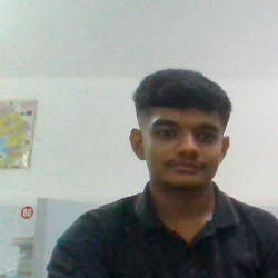 Krishrajsinhji Jadeja-Freelancer in rajkot,India