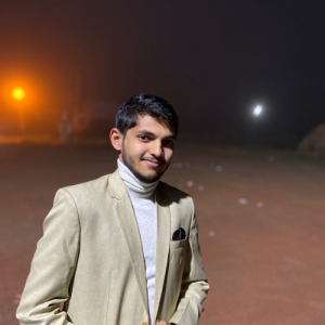 Amir Hamza Betgeri-Freelancer in Dharwad,India