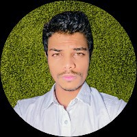 Priyanshu-Freelancer in Surguja Division,India