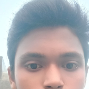 Ravi Kumar-Freelancer in Lucknow,India