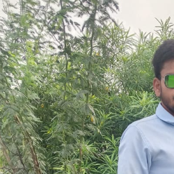Raman Kumar-Freelancer in Lucknow,India