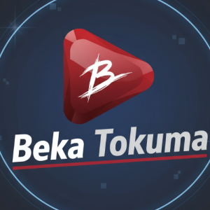 Beka Tokuma-Freelancer in Adama,Ethiopia