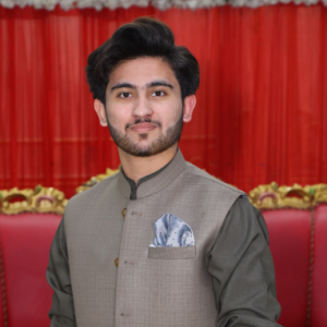Sheikh Mbf-Freelancer in Jaranwala,Pakistan