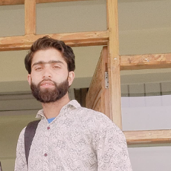 Aadil Mushtaq-Freelancer in Srinagar,India