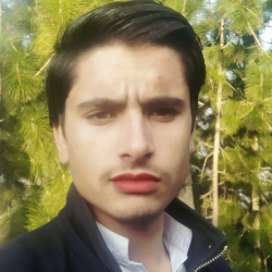 Amjad Hussain-Freelancer in Mansehra,Pakistan