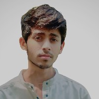 Md Abid-Freelancer in Phoolpur,India