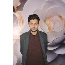 Haroon Sahi-Freelancer in Karmanwala,Pakistan