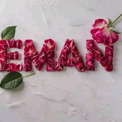 Eman-Freelancer in Taxila,Pakistan