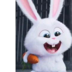 Wellbeaty-Freelancer in Idupulapaya,India