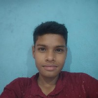 Danish Alam-Freelancer in Saran Division,India