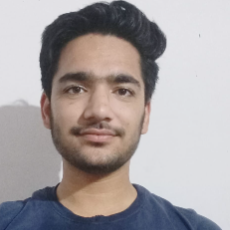 Mohit Bareja-Freelancer in Madlauda,India