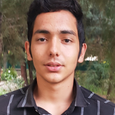 Amirshayan Moghimbeigi-Freelancer in Karaj,USA
