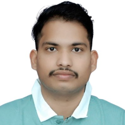 Rafiuddin Ansari-Freelancer in Jaipur,India