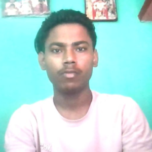 Pawan Kumar-Freelancer in Ara (Bihar,India