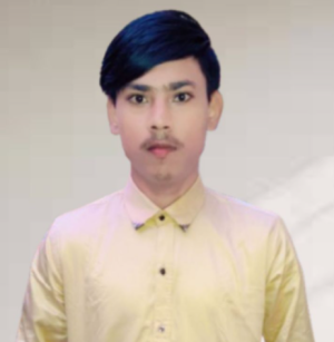 Pawan Kumar-Freelancer in Ara (Bihar,India