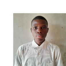 Ibrahim Masaya-Freelancer in Damaturu,Nigeria