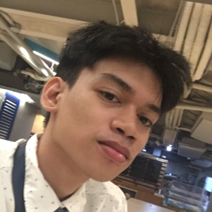 Ralion Macasu-Freelancer in Marilao,Philippines
