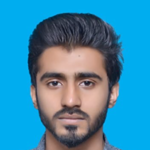 Hamza-Freelancer in Gujranwala,Pakistan