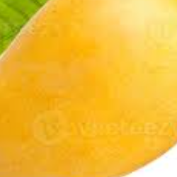 Varsha Zodage-Freelancer in Tarwade Peth,India