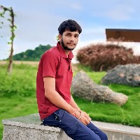 Thakur Vishnu Sisodiya-Freelancer in Dharoi,India