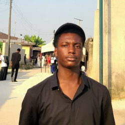 Dorborobari Lambert-Freelancer in Port Harcourt,Nigeria