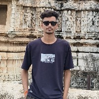 Ashish singhania-Freelancer in Jaipur,India