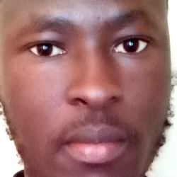 Hillary Andola-Freelancer in Mlolongo,Kenya