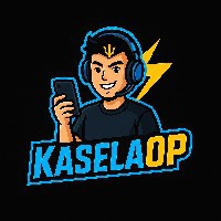 Vishvrajsinh Kasela-Freelancer in Ahmadabad,India