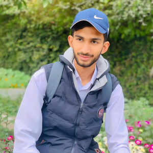 Tayyab Shahzad-Freelancer in Islamabad,Pakistan
