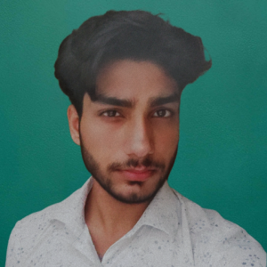 Aman-Freelancer in New Delhi,India