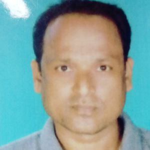 Ajit Kumar Samal-Freelancer in Korba,India