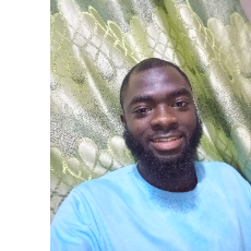 Ajayi Opeyemi-Freelancer in Ipinsa,Nigeria