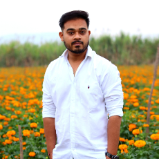 Viral Shah-Freelancer in Akole,India