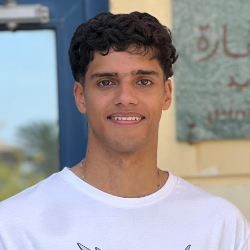 Omar Ali-Freelancer in Giza,Egypt