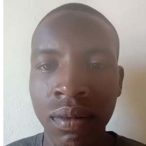 Abduljalal Isah-Freelancer in Tudun Wada,Nigeria
