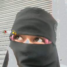 Fejina Khan-Freelancer in Bhopal,India