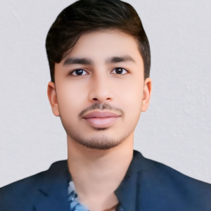 Sani Kumar-Freelancer in Patna,India