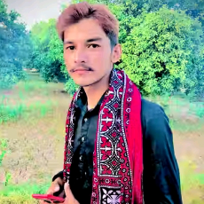 Salman Haider-Freelancer in Sargodha,Pakistan